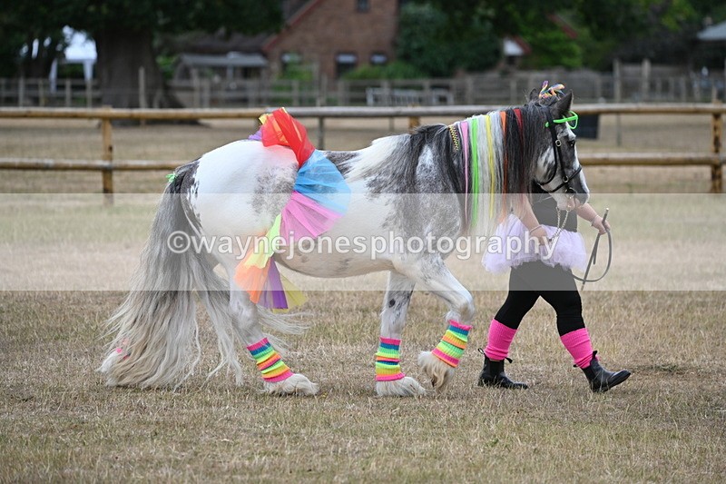 WJ6_8830 - Class 11 Fancy Dress