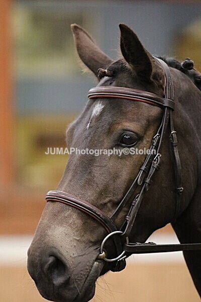 SIAL2931 - Sunday 14th Ridden