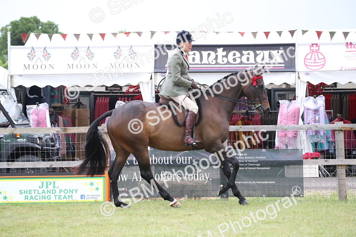SBM_11419 - Class 94 - LIHS BSHA Racehorse to Showhorse