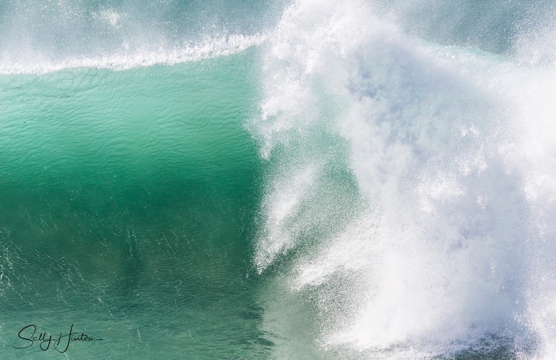 Waves large 8