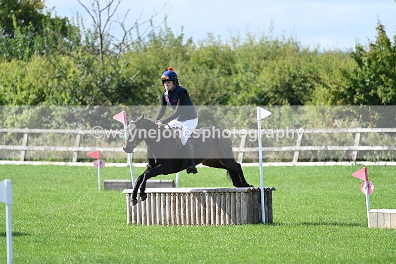 WJ7_8596 - 60cm Pairs