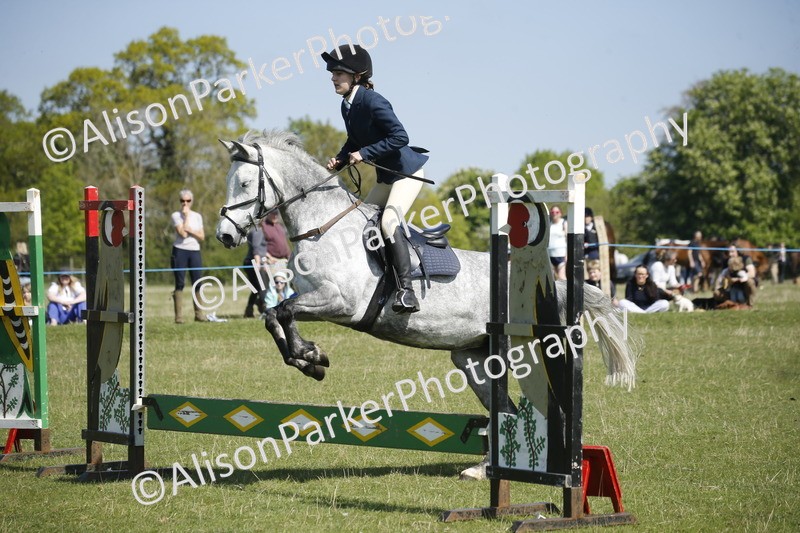 20250427-2171 - Class 13 - Novice Jumping 60cm
