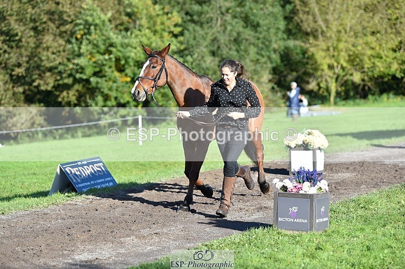 231022-101518-22346 - 470-DVΓÇÖS.ROCKY-Lauren.Collard-TrotUp+SJ