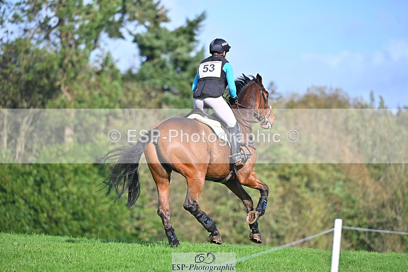 241025-112937-06726 - 053-Lois.Teal-Z7.CATASTROPHE