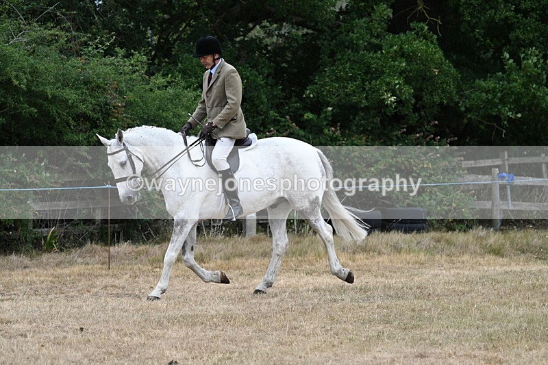 WJ7_0909 - Class 7 Riding Club Show Horse