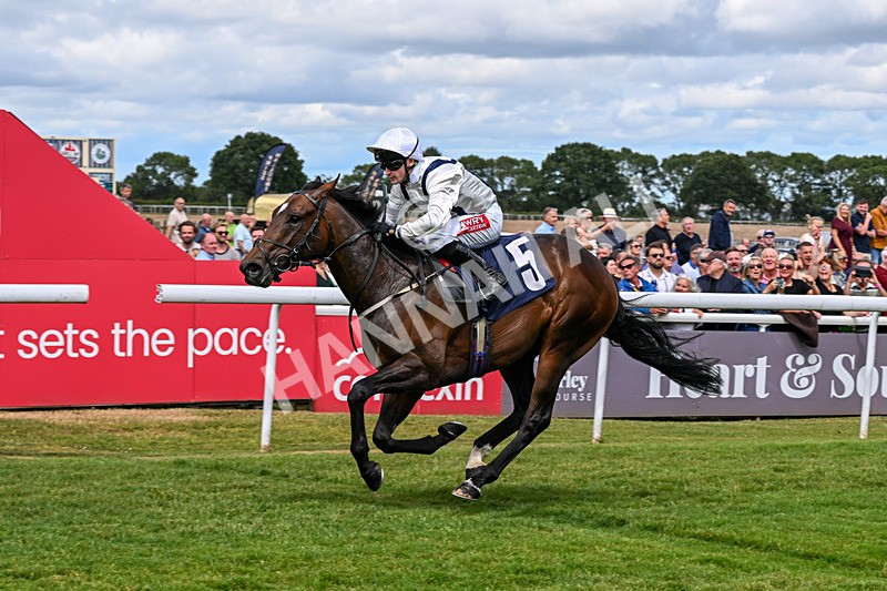 040726-Race 1-Palm Reader-3030 - Race 1 14.17pm Rob Over The Hill EBF Maiden Stakes
