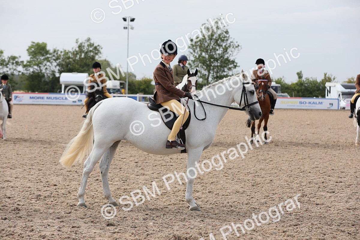 SBM_17006 - Class 314 Family Horse/Pony