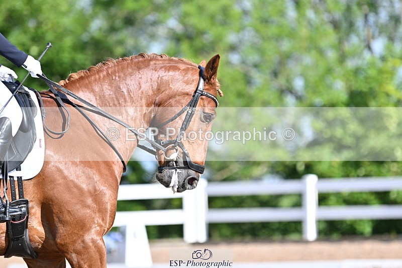 240622A-085051-06658 - Cls 25 BD Music Prelim