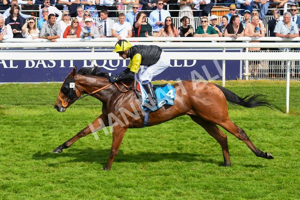 270523-Race 5-Starnberg-0786 - Race 5 3.50pm William Hill Extra Place Races Daily Handicap