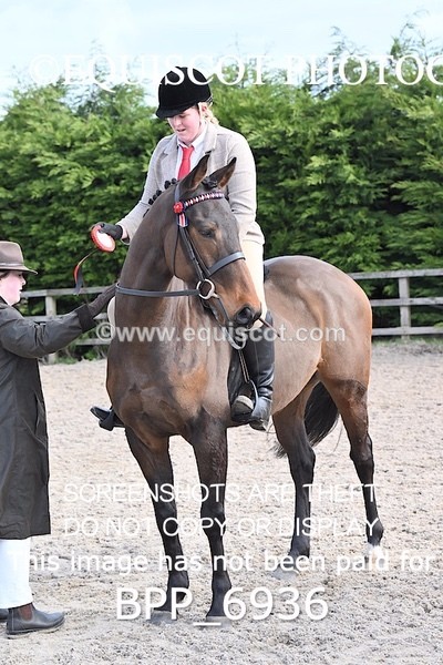 BPP_6936 - RING 1  (RIDDEN HORSES / IN HAND / VETERAN ETC)