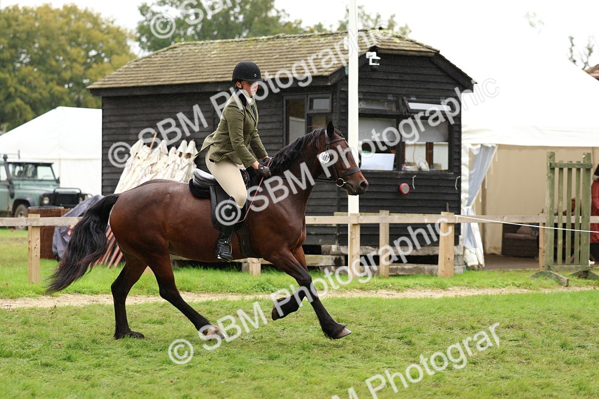 SBM_69612 - S62 - Mountain & Moorland Ridden Large Breeds