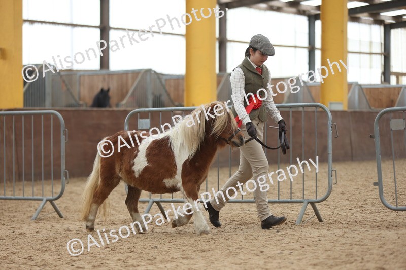 20251109-0450 - Championship