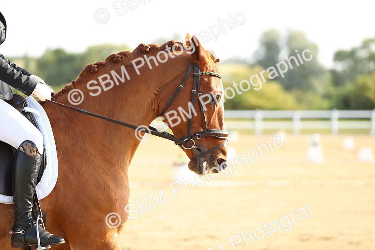 SBM_015001 - Class 13 - Novice 23 - 8,30-9.33