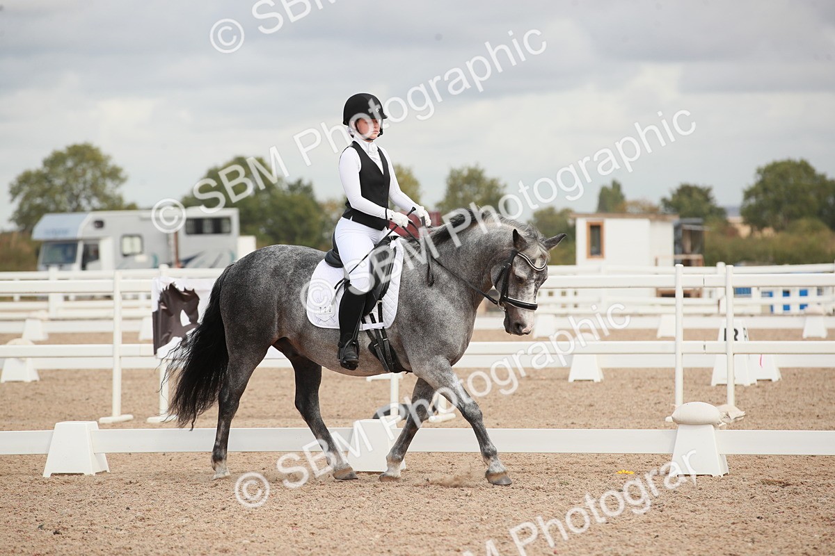 SBM_03930 - Class 31 - Prelim 1