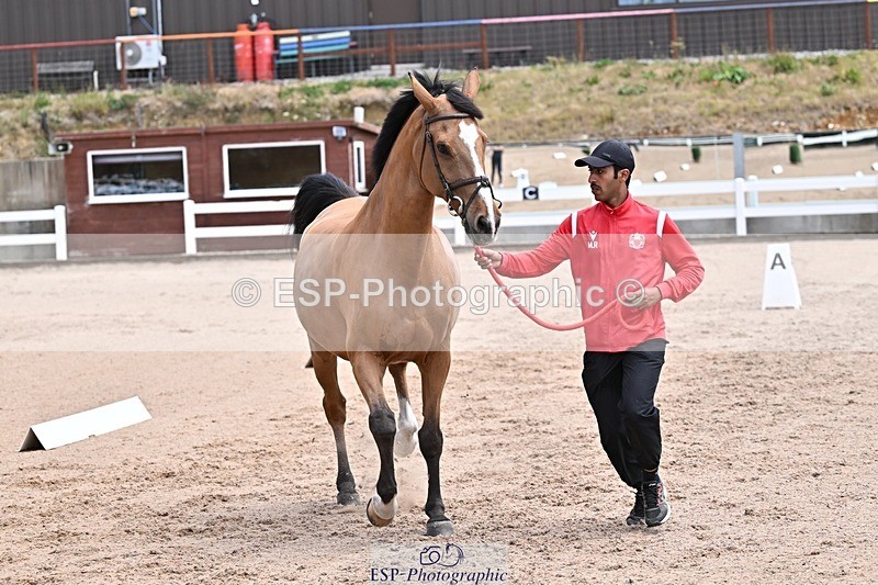 250716-130330-00296 - Trot Up 12.30 to 1.30