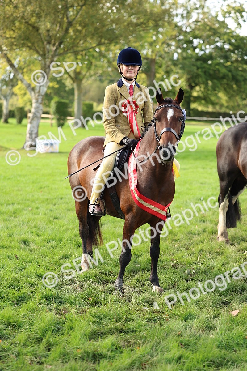 SBM_46395 - Working Hunter Pony Supreme Championship