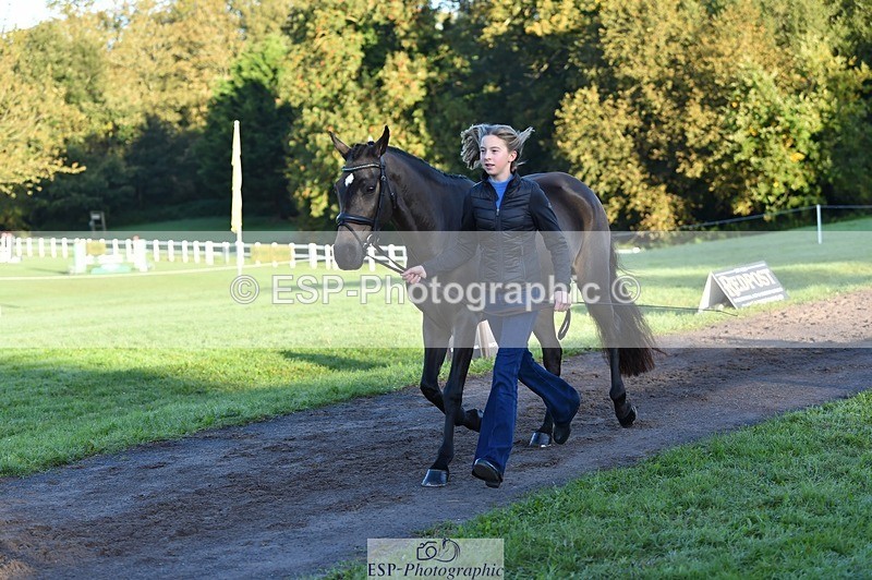 231022-090144-21517 - 629-DP.UK.DUN.SURPRISE-Isla.Kitson-TrotUp+SJ