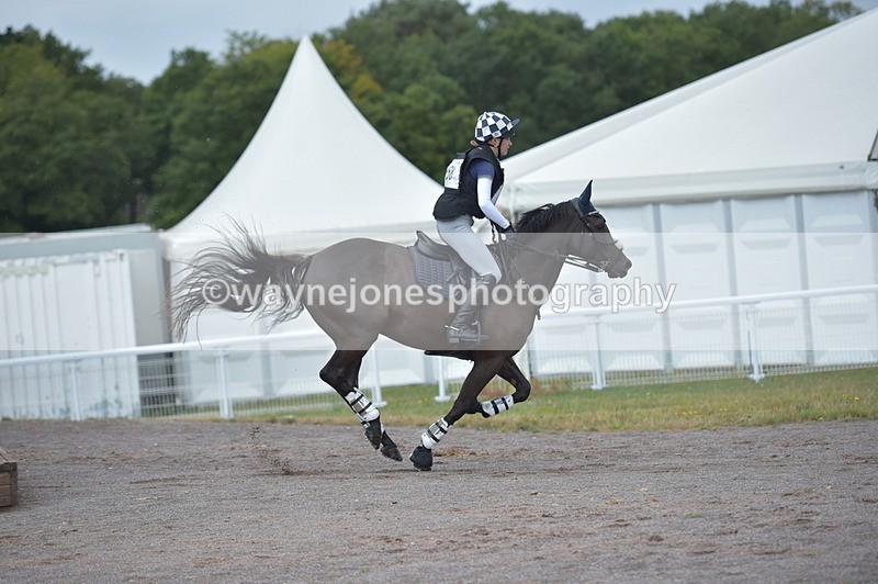 NGP_2365 - XC Time 11:20 to 11:36