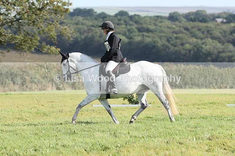 JPP_8071 - Class 2A: Trekenning Open: Dressage
