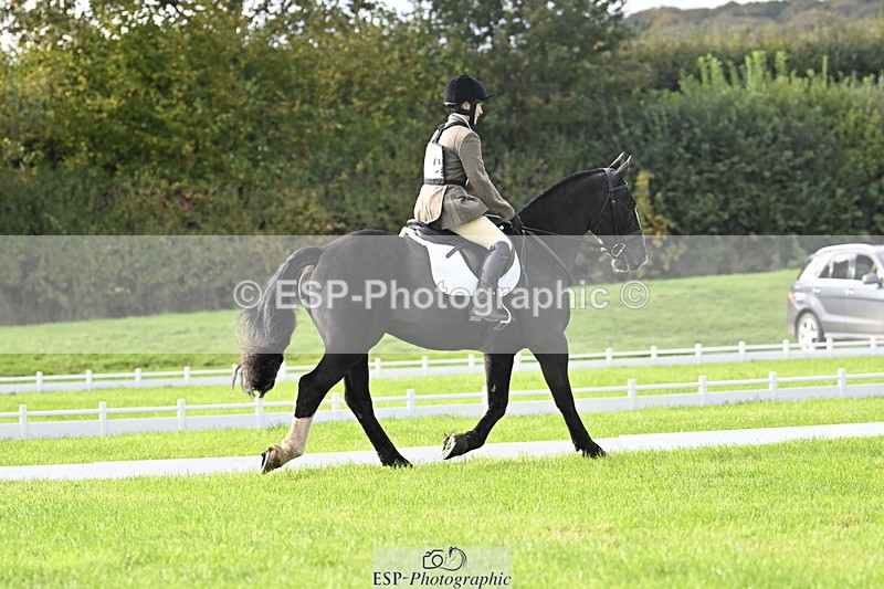 251023A-105838-02967 - F-410-Kt.English-Baillie