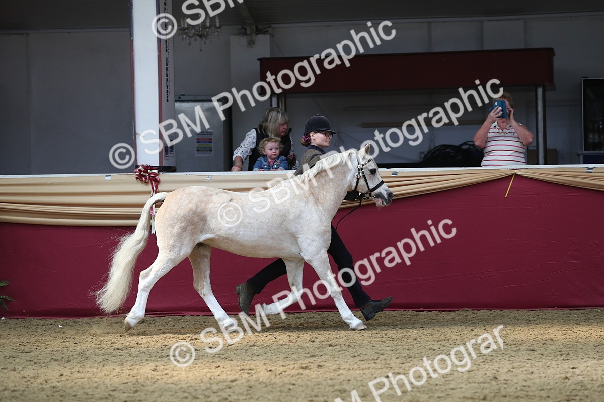 SBM_15211 - Class 501 M&M IH Supreme Final