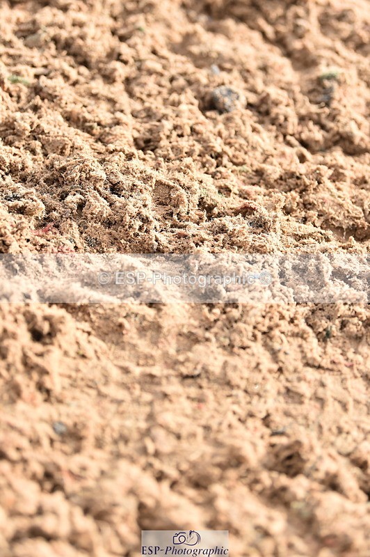 231029A-112500-03032 - Pony Newcomers & 1m Open