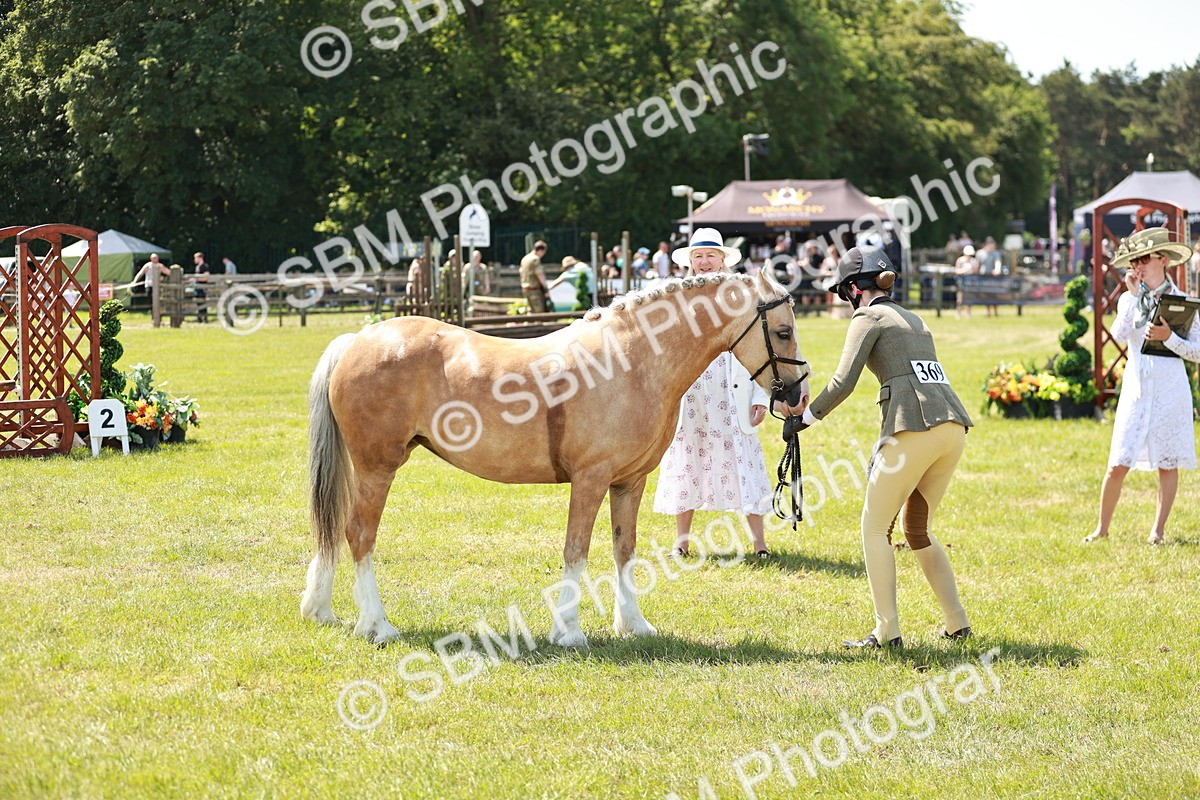 SBM_15692 - Class 108-109 - BSPS LIHS Open Gradle & Nursery Stakes