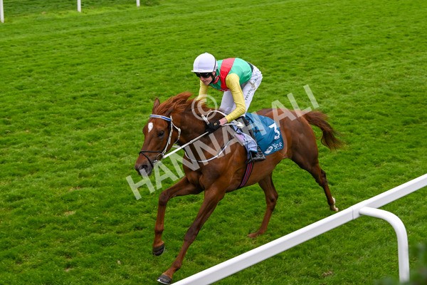 250524-Race 6-Primo Lara-4241 - Race 6 4.30pm Royal Yorkshire Regiment Handicap