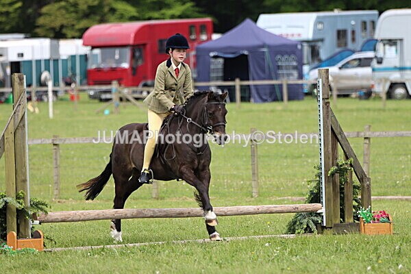 IMG_2578 - Working Hunter