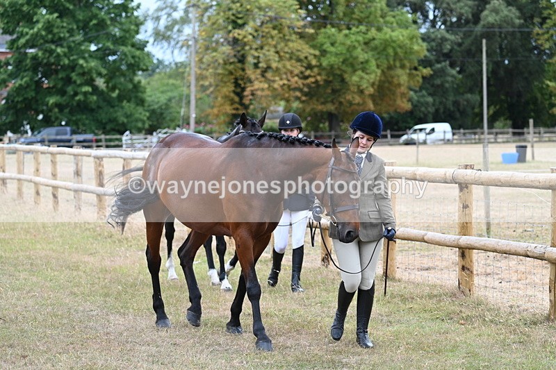 WJ7_9086 - Class 4a Prettiest Mare 14.2hh and over