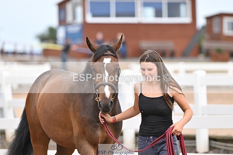 250716-163429-02680 - Trot Up 4.30 to 5.00