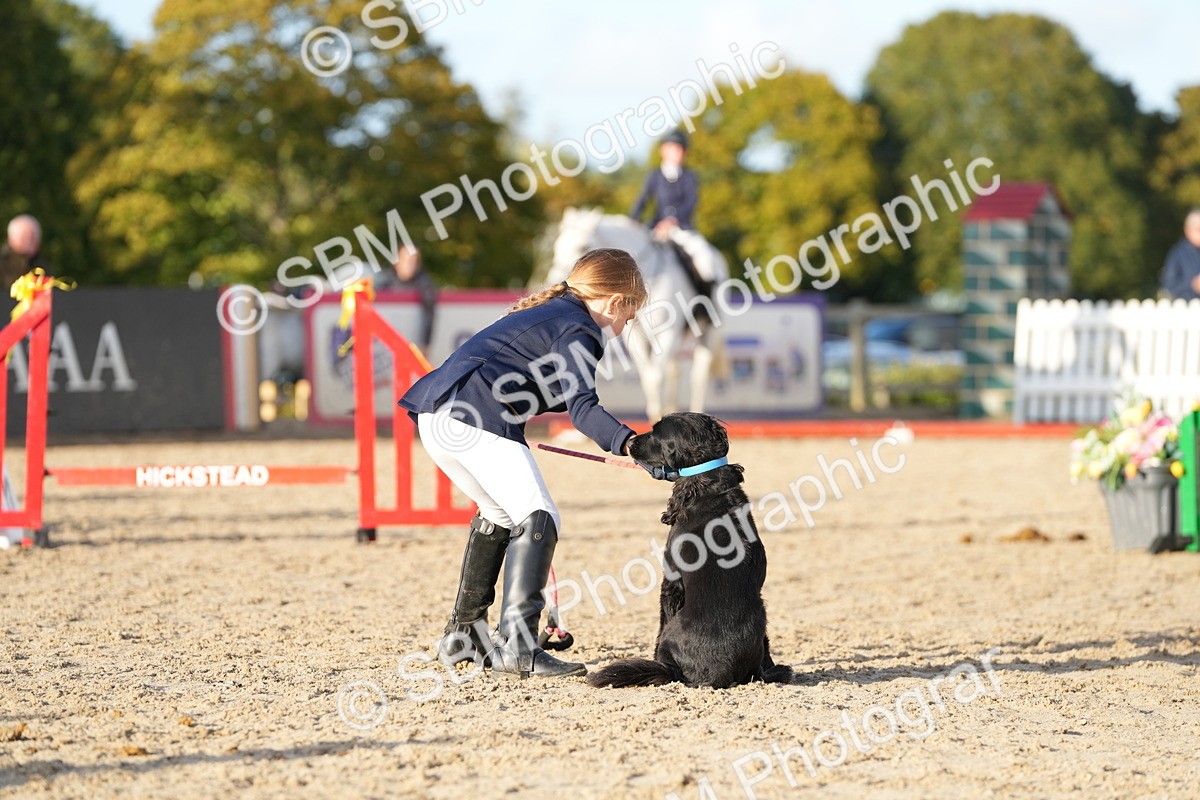 SBM_29390 - J44 - Horse & Hound Open 70cm