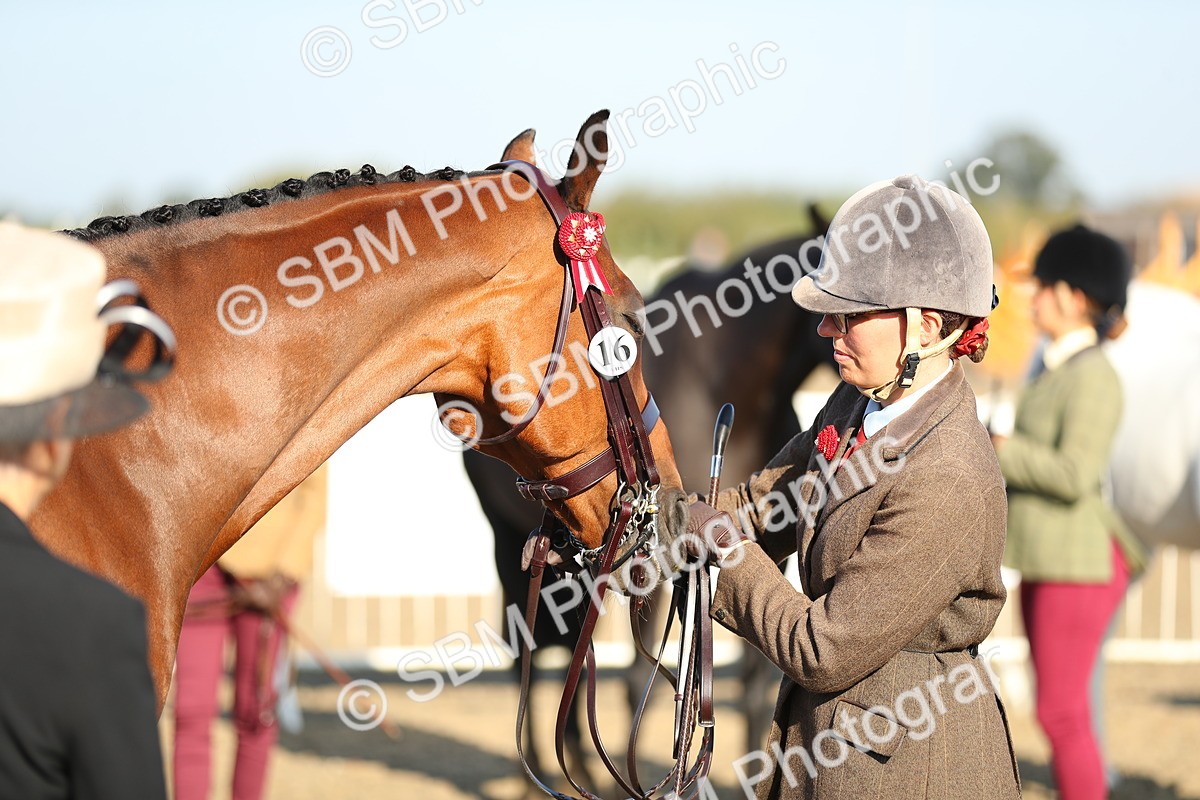 SBM_00026 - Class 40 Best Turned Out IH