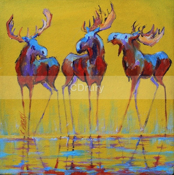 Splash SOLD - AVAILABLE PRINTS and Notecards