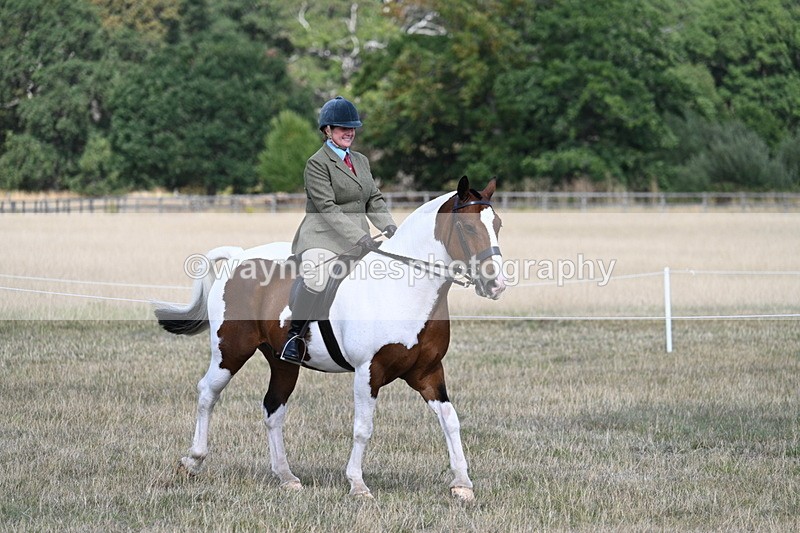 WJ7_6697 - Class 14 Ridden Coloured