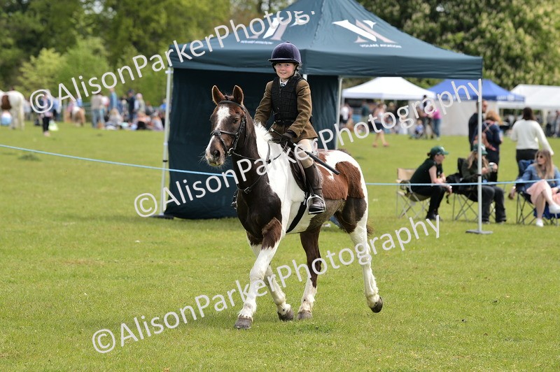 20260426-2426 - Class 21 - Working Hunter Ponies