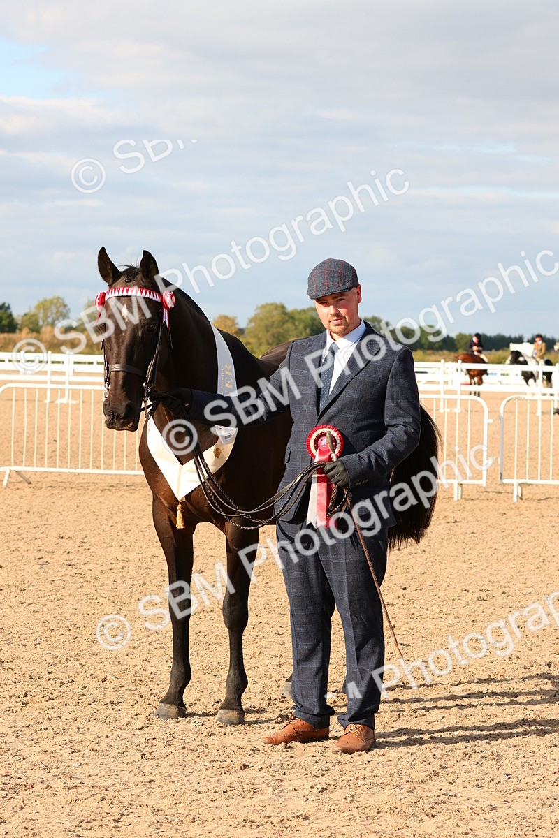 SBM_18419