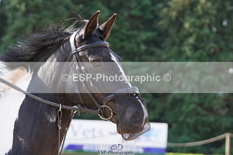 250420A-102040-00325 - Cls 02 70cm