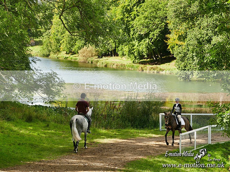 BECorn 140924 728a - Equestrian