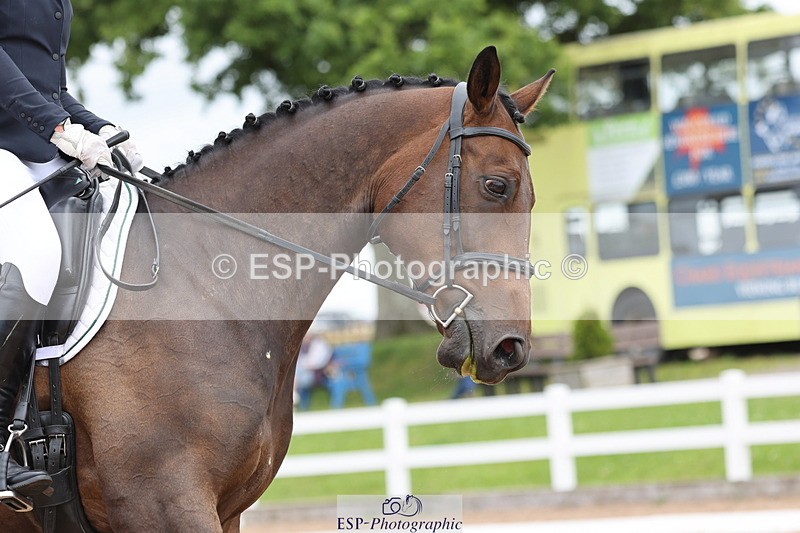 240622A-115341-09565 - Cls 27 BD Novice 37A