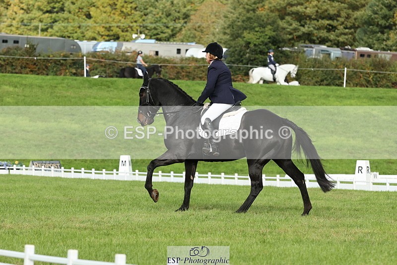 251024A-101815-07714 - D-343-Georgina.Owen