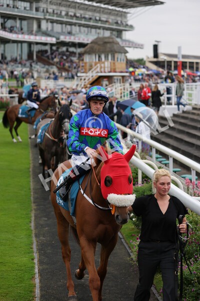 yr22072022r3-22 - Race 3 6.20pm Tomahawk Stakes