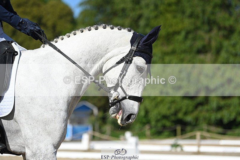 230526-165829-07457 - 259-KATE_BLUE-Millie_Juleff-WEDTrotUp+DR