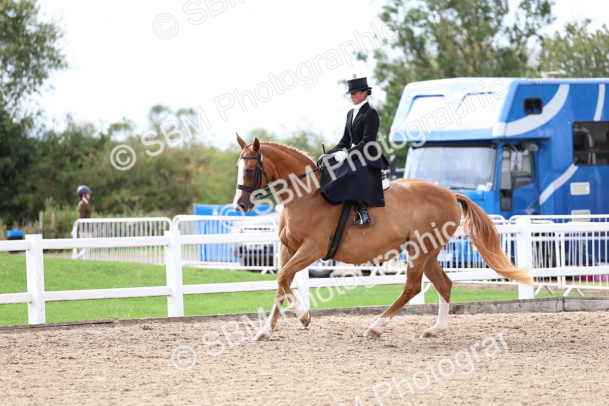 SBM_03424 - Class 24 - SSA Concours d'elegance (any age)