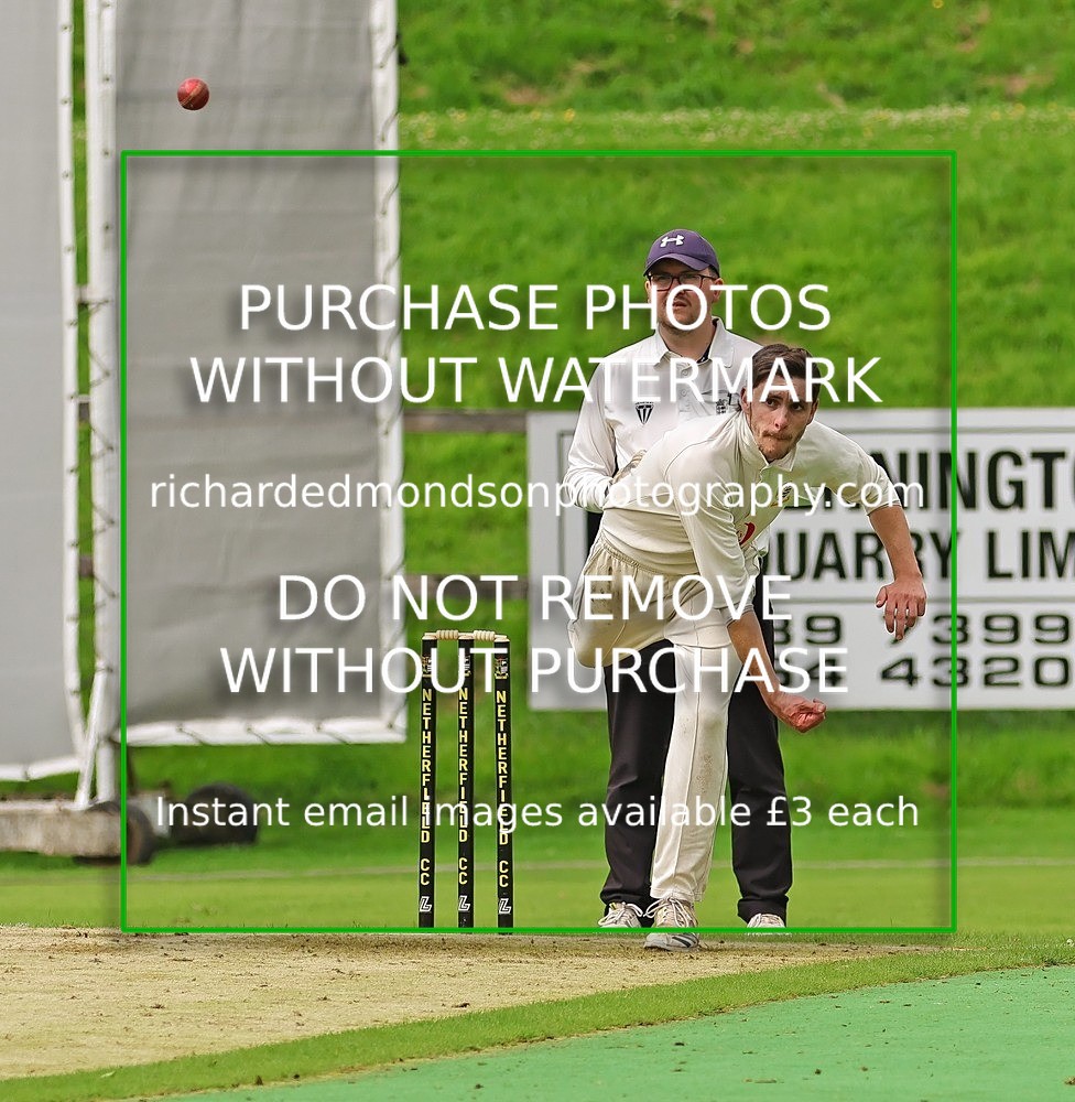533A4164 - Cricket Photo Gallery 2025 season