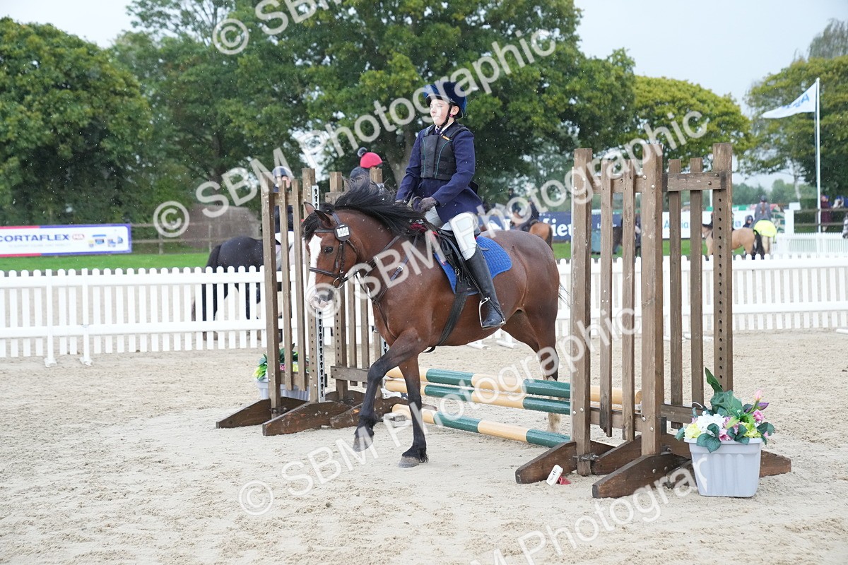 SBM_00179 - J53 - Clear Round 40cm