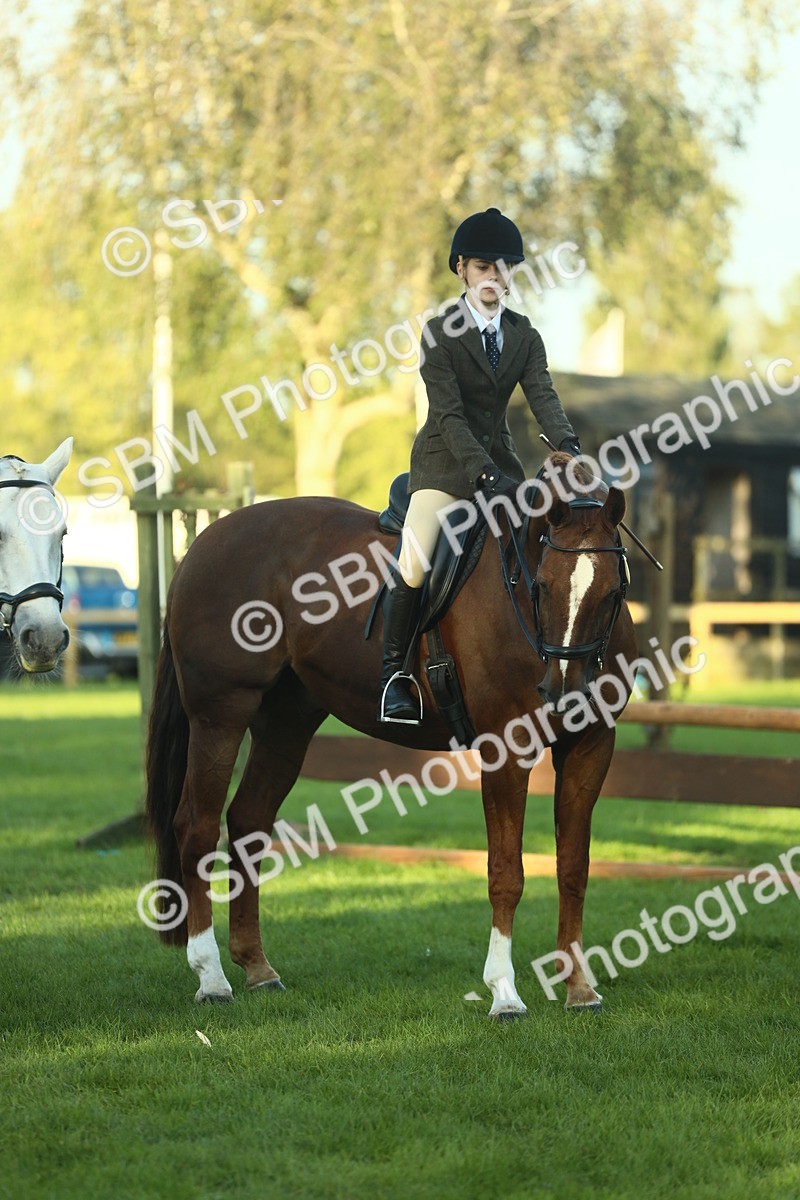 SBM_55562 - S14 - Riding Club Horse