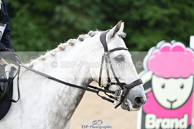 240824X-093029-23210 - 70cm Round 2 9.30 to 10.30