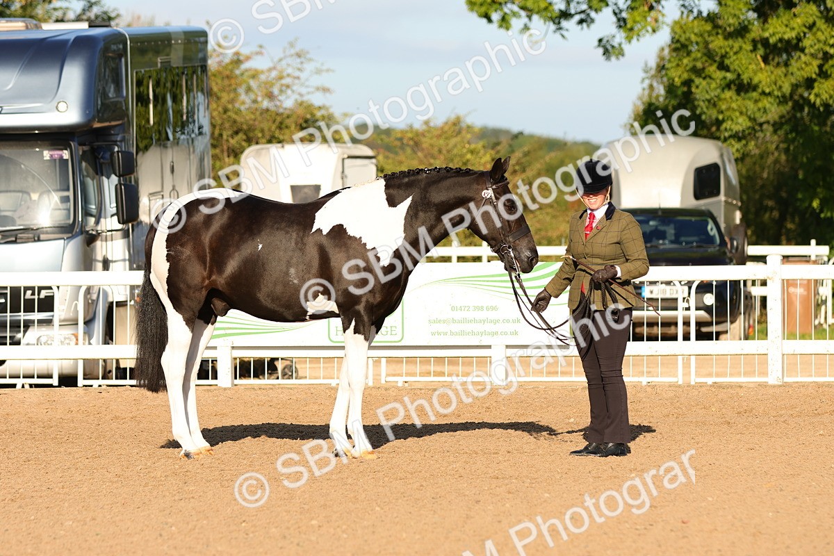 SBM_07976 - Class 201 - Best Turned Out - IH