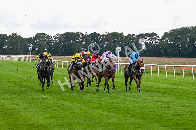 170724-Race 3-Ingleby Archie-9932 - Race 3